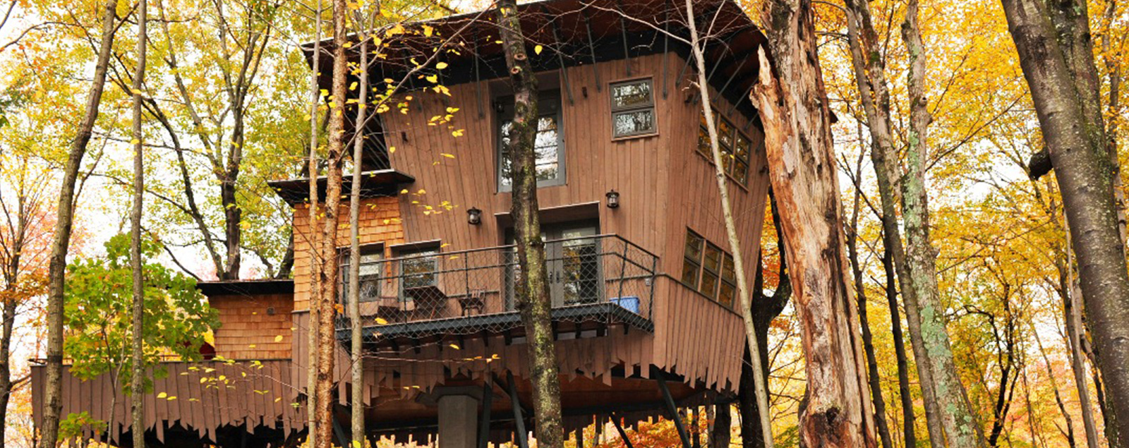 slider-interior-treehouse