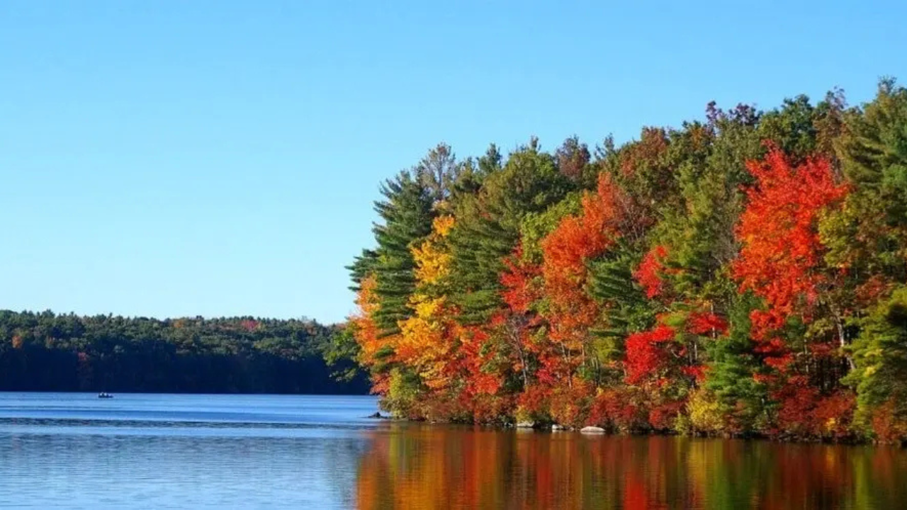A lake with trees in fall colors—red, orange, yellow, and green—reflecting on the water under a clear blue sky.