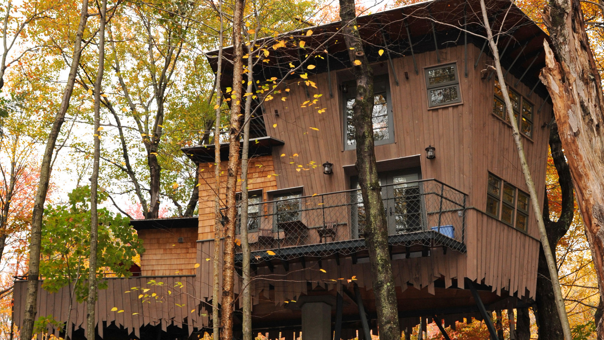 Exterior view of the Treehouse Cottage at Winvian Farm surrounded by autumn foliage.