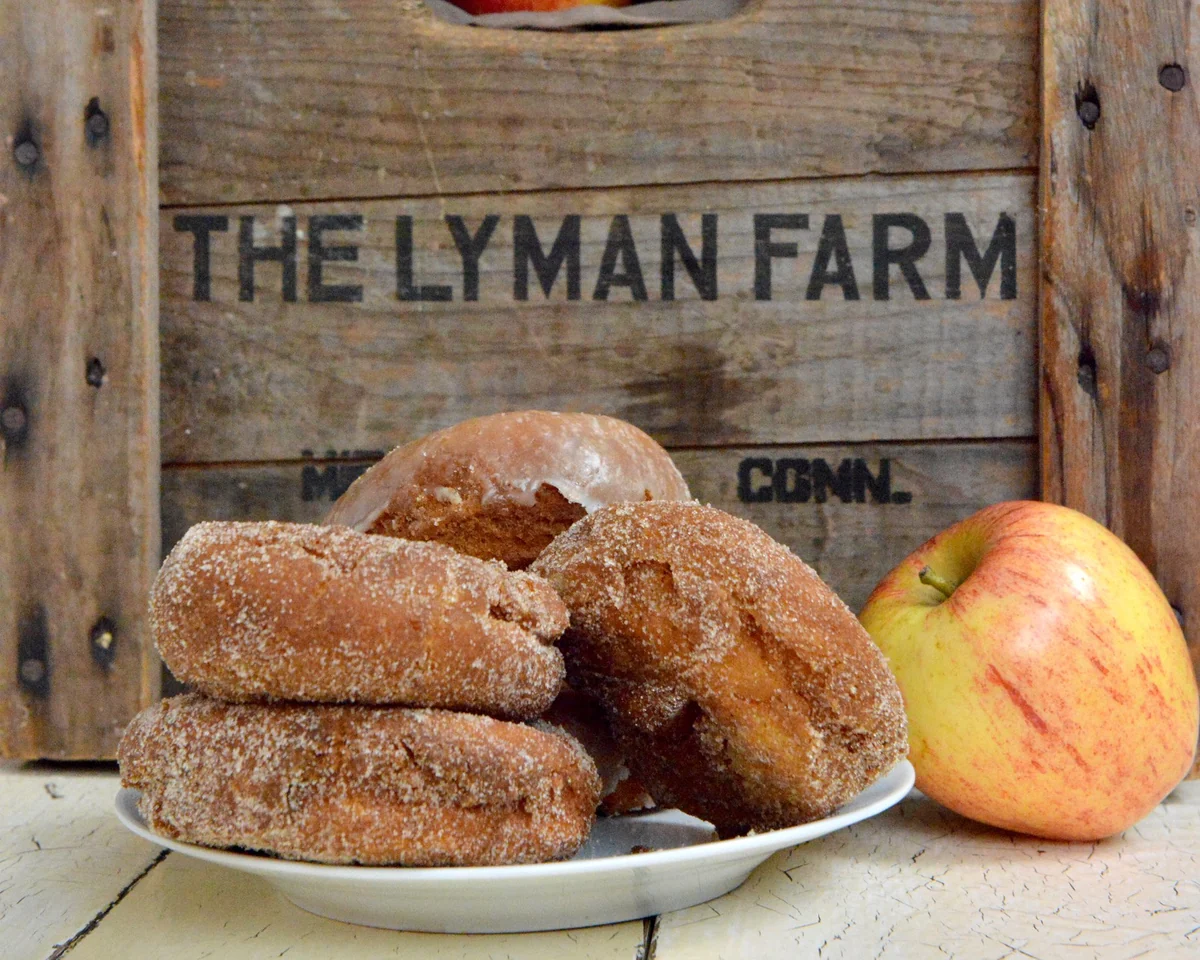 corn maze & cider donut festival
