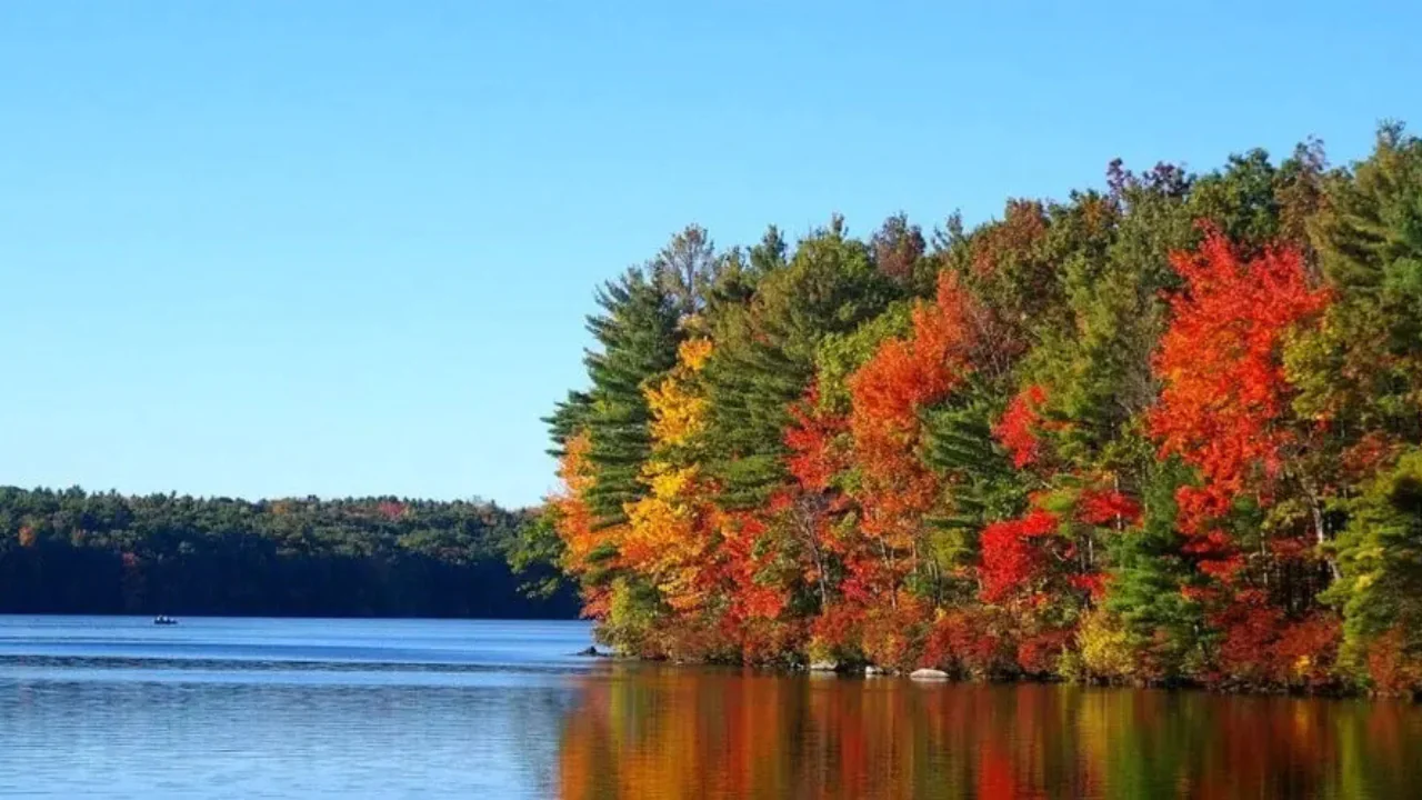 A lake with trees in fall colors—red, orange, yellow, and green—reflecting on the water under a clear blue sky.