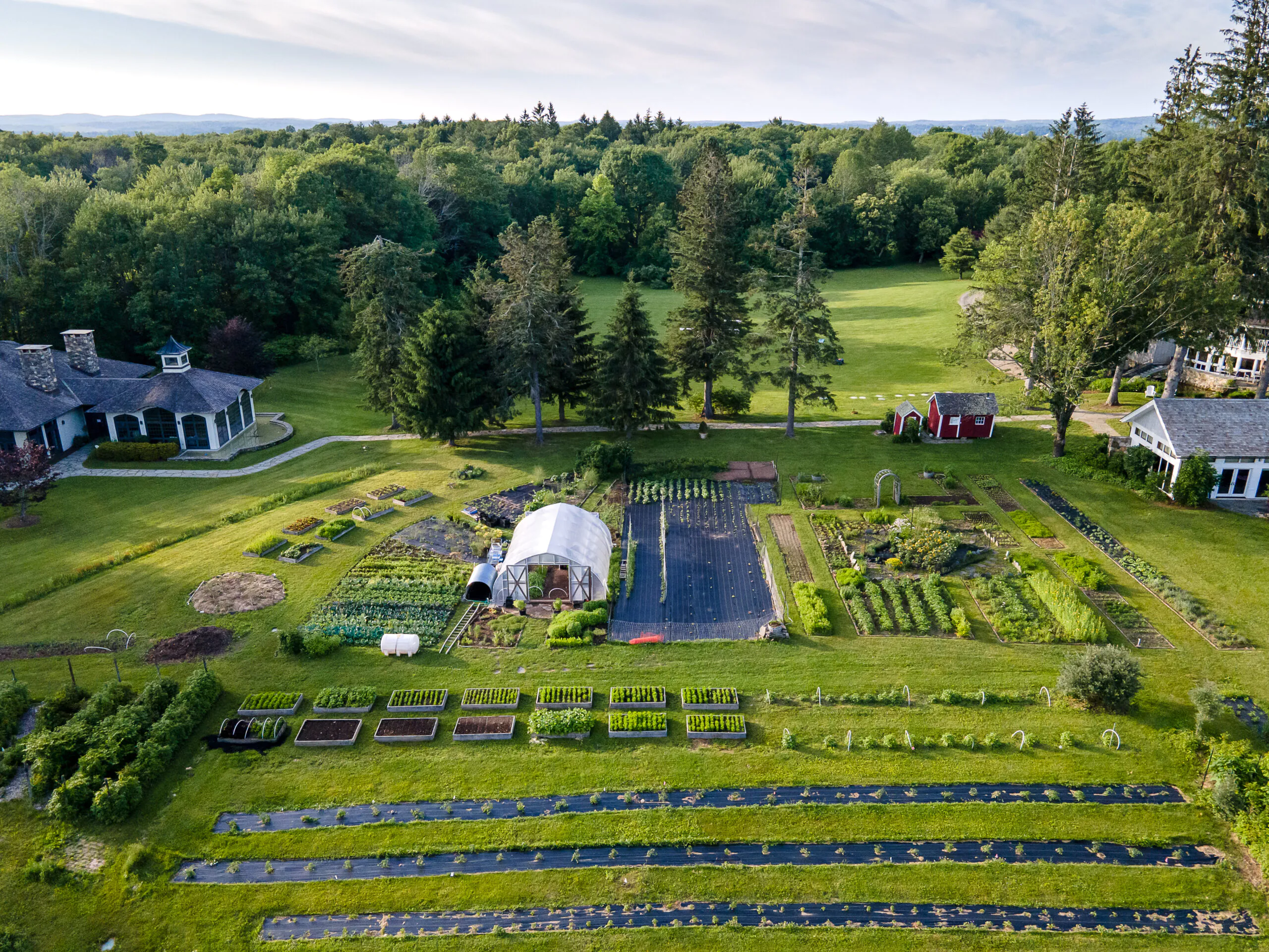 Aerial view of a lush, organized vegetable garden with neat rows, a greenhouse, and surrounding trees, lawns, and buildings on a bright day.
