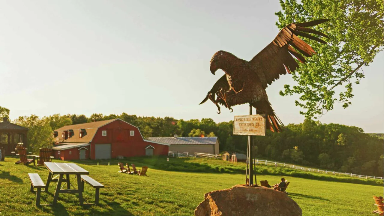 Hawk Ridge Harvest Festival