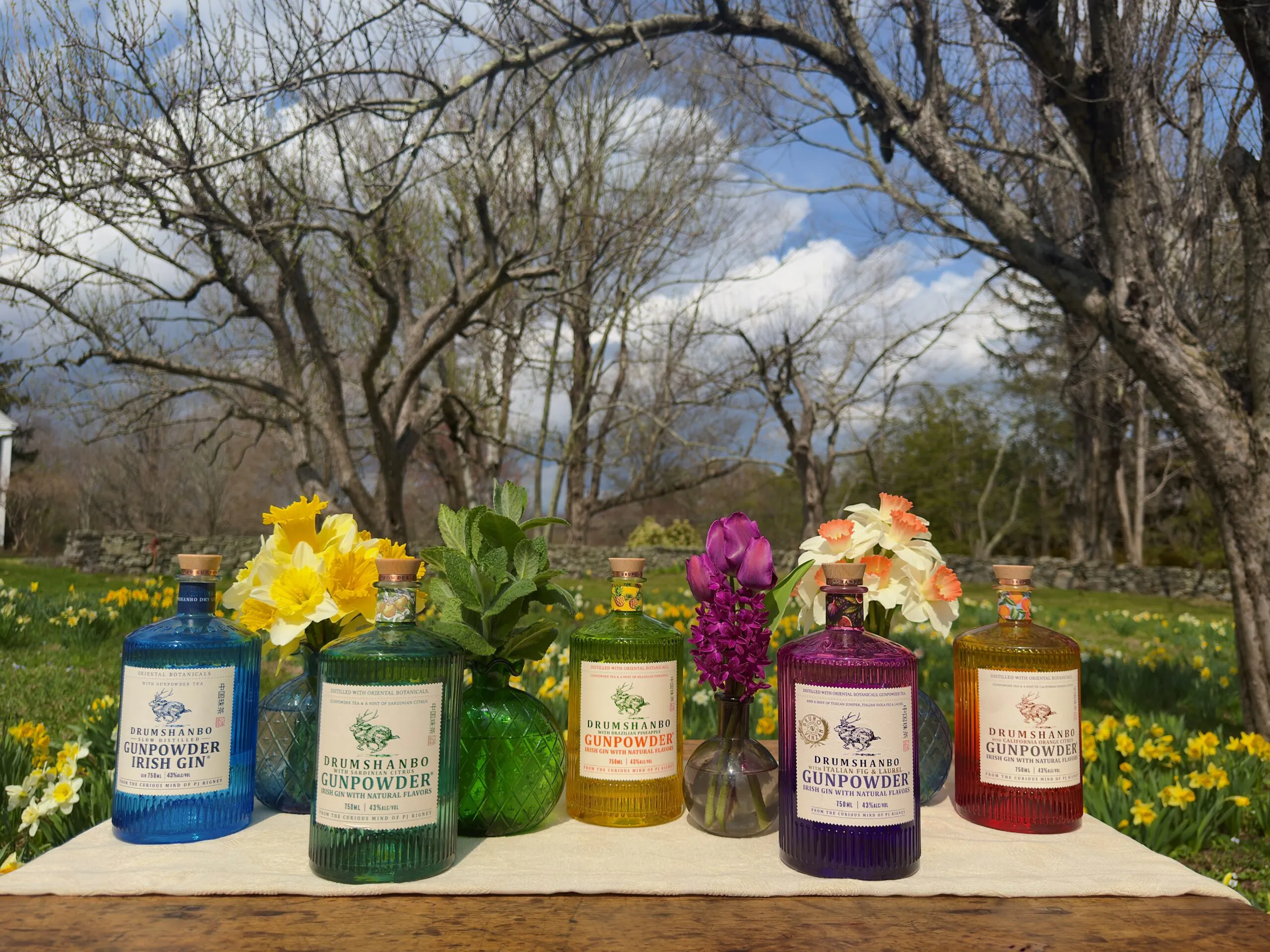 Five Drumshanbo Gunpowder gin bottles in different colors are lined up outdoors on a table with spring flowers and trees in the background.