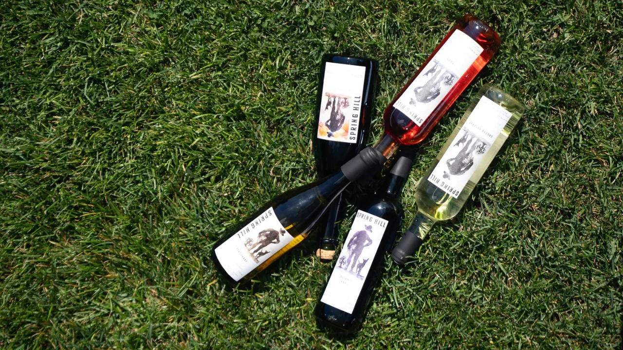harvest festival at spring hill vineyards