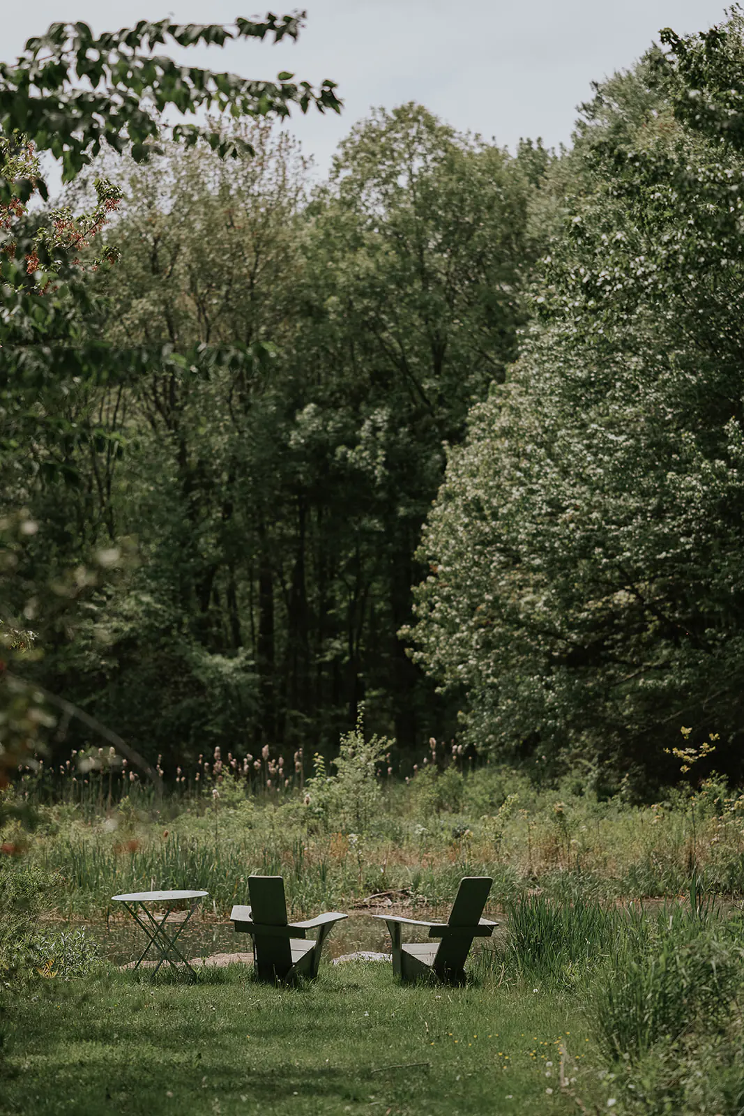 Two green chairs and a small round table sit on grass, facing a lush forest with dense trees and greenery under a cloudy sky.