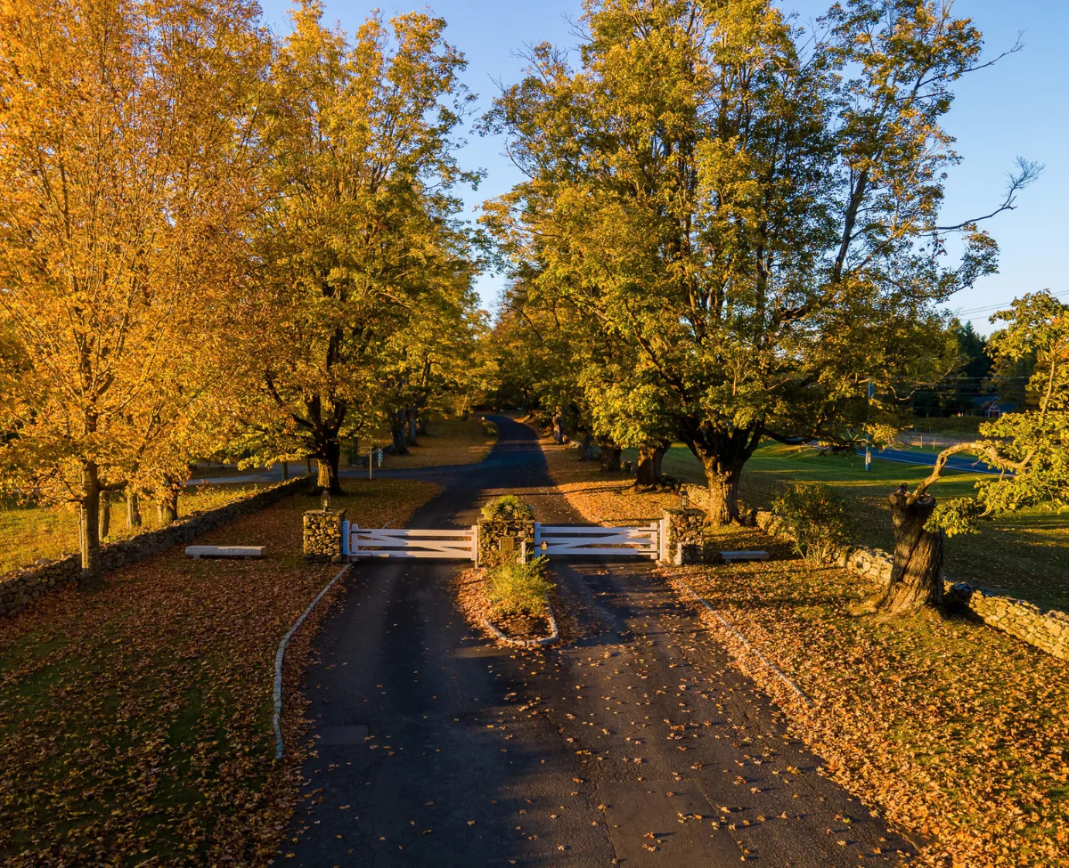 Foliage Has Arrived at Winvian